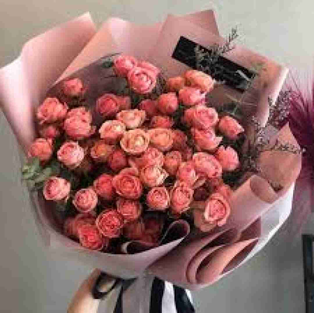  وای که چه حالی دارم هوای دیارو دارم