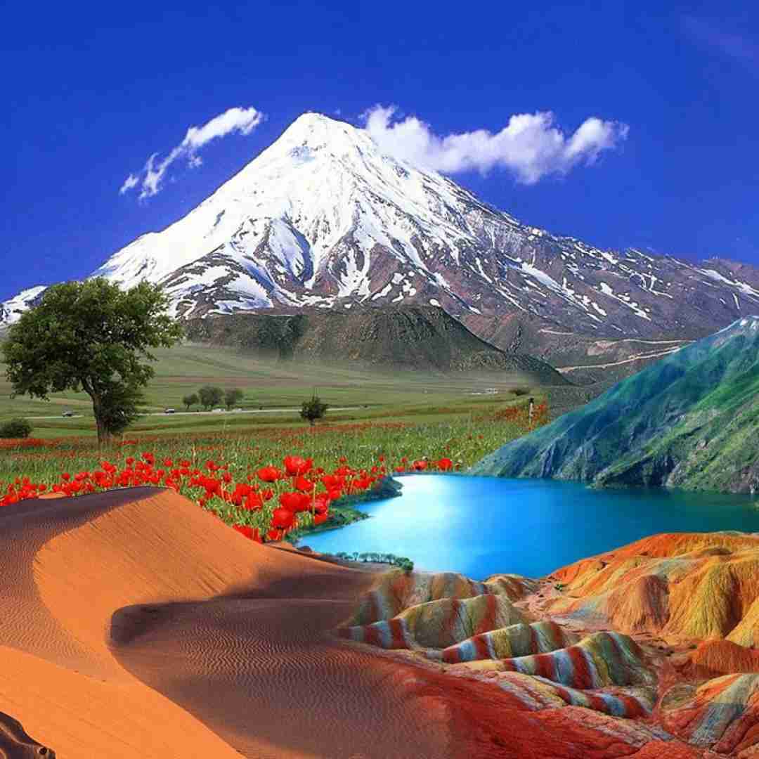  شل کن شل کن ایست باز
