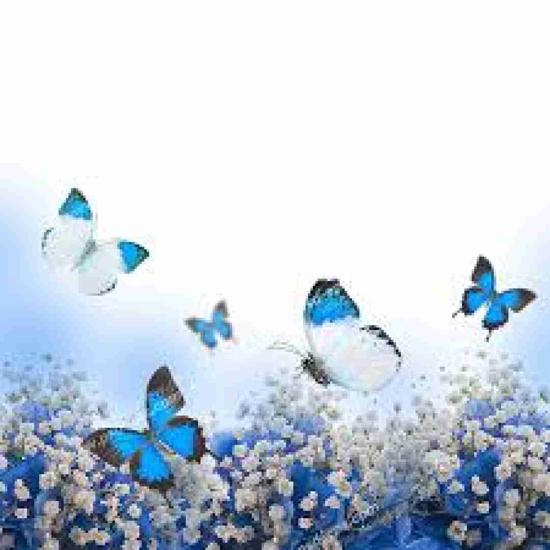  کبوتر دلم از لب بوم دلت نمیپره با صدای زن