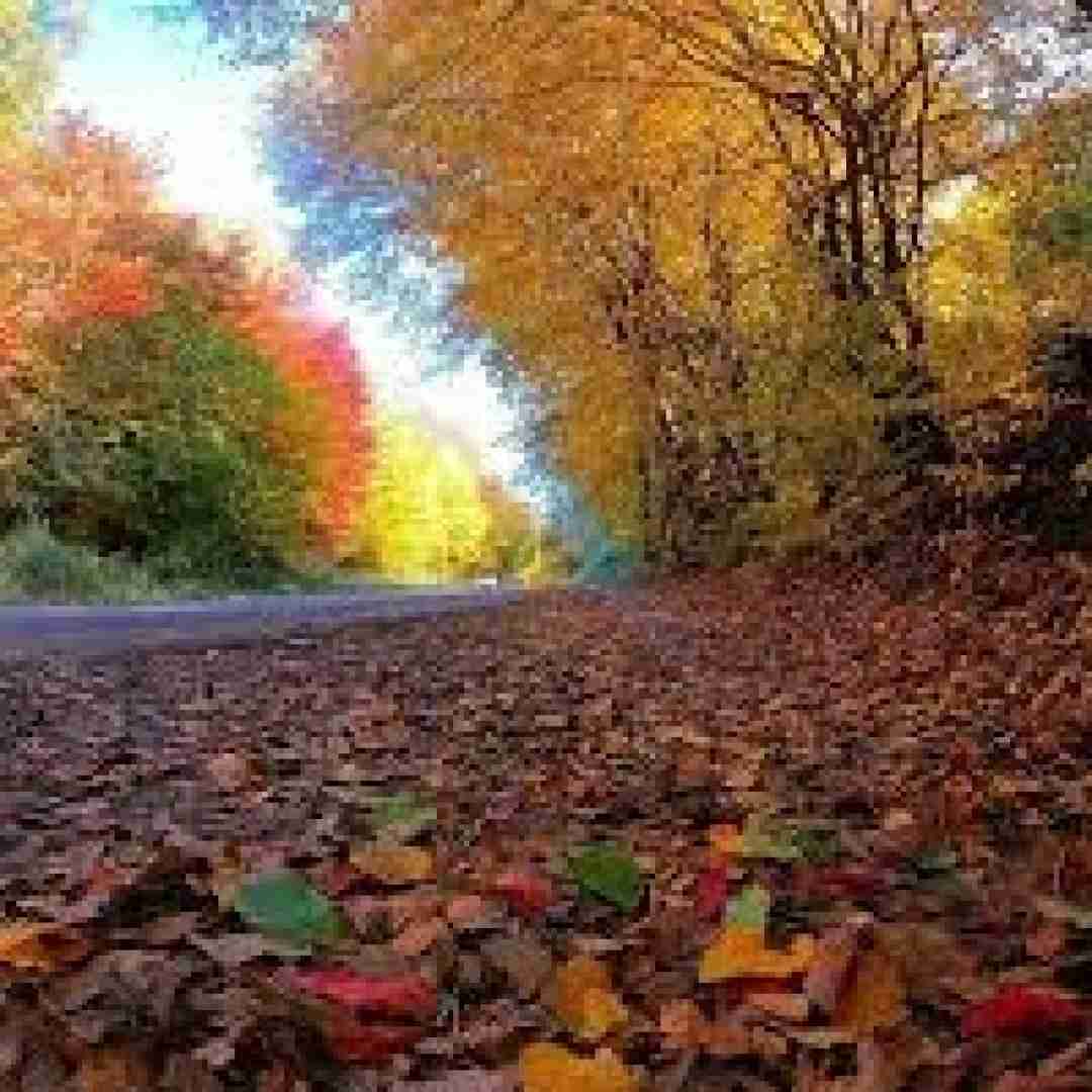  این جوابش نبود این همه حس خوبو بردی از یادت با صدای دختر