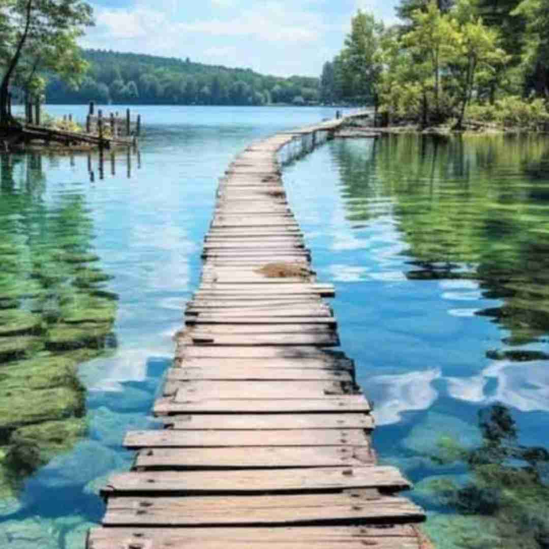  می‌دونی دلم از چی میسوزه هنوز دارم دوست