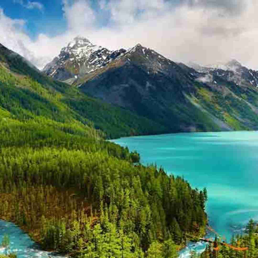  چیشد که تنت خورد بهش شدی مثل همه