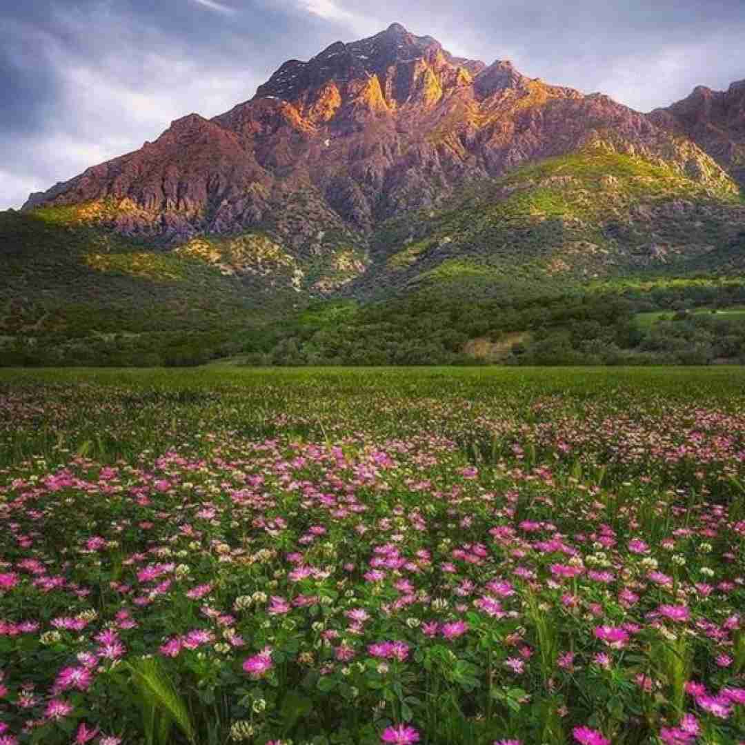  تو رو من یکم دیر شناختم خراب میکنه