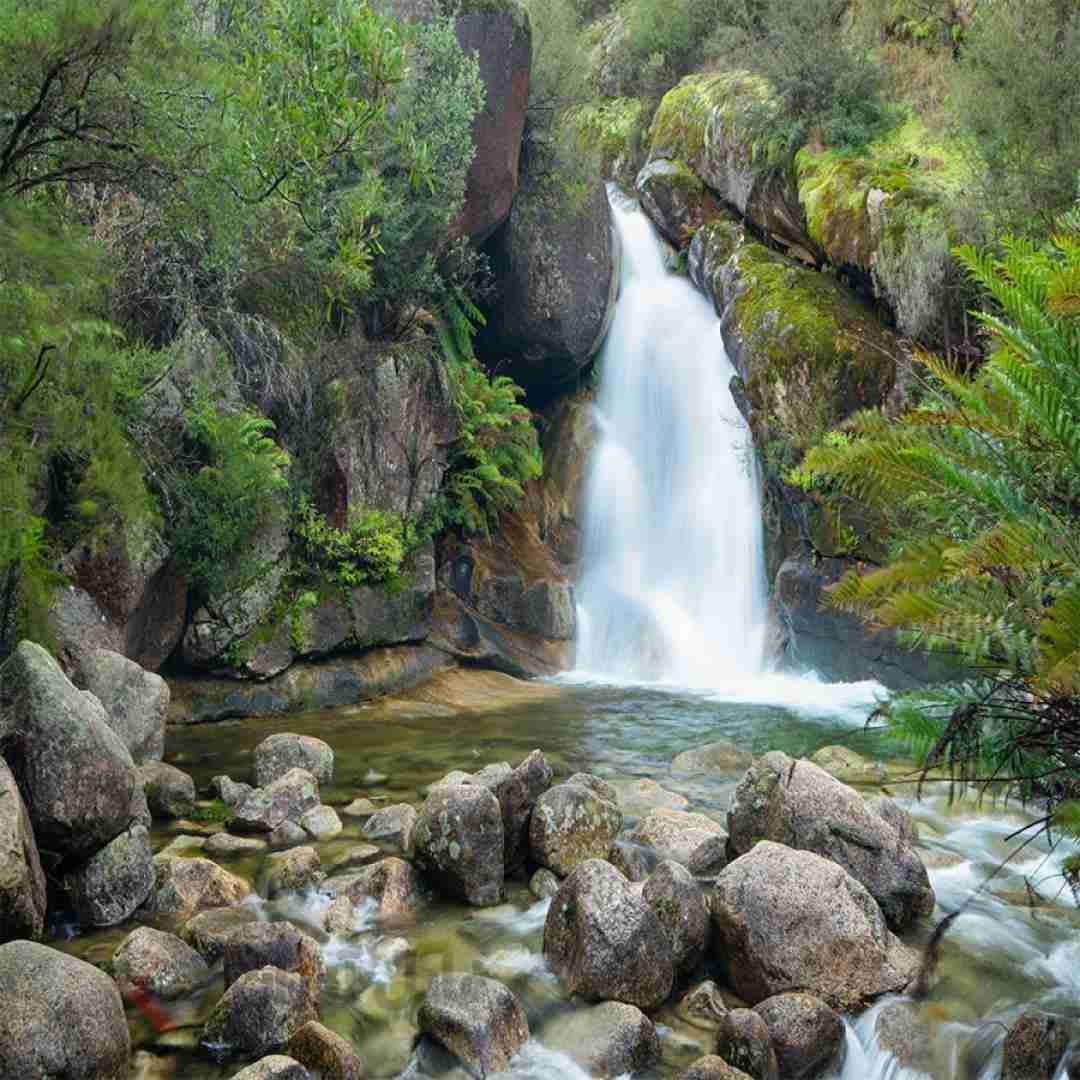  آمریکا آمریکا ننگ به نیرنگ تو