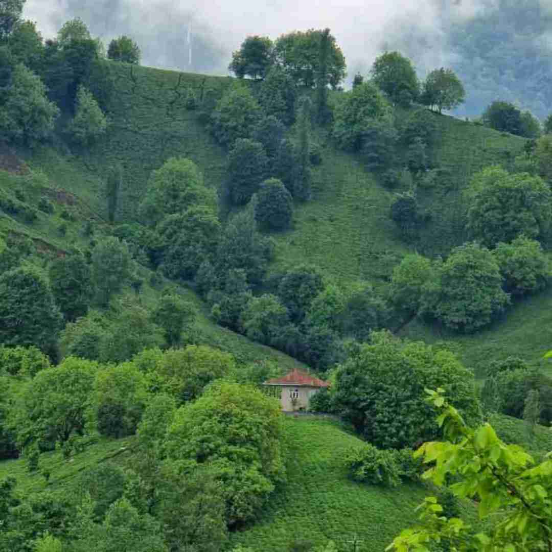  شاه بیت شعرم نبینم بریزه اشکای تو