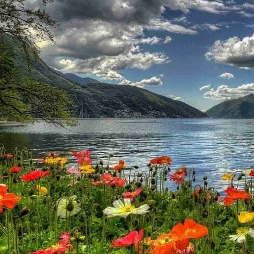  یه روزی همه میرن میدونه کی‌ موقعشو