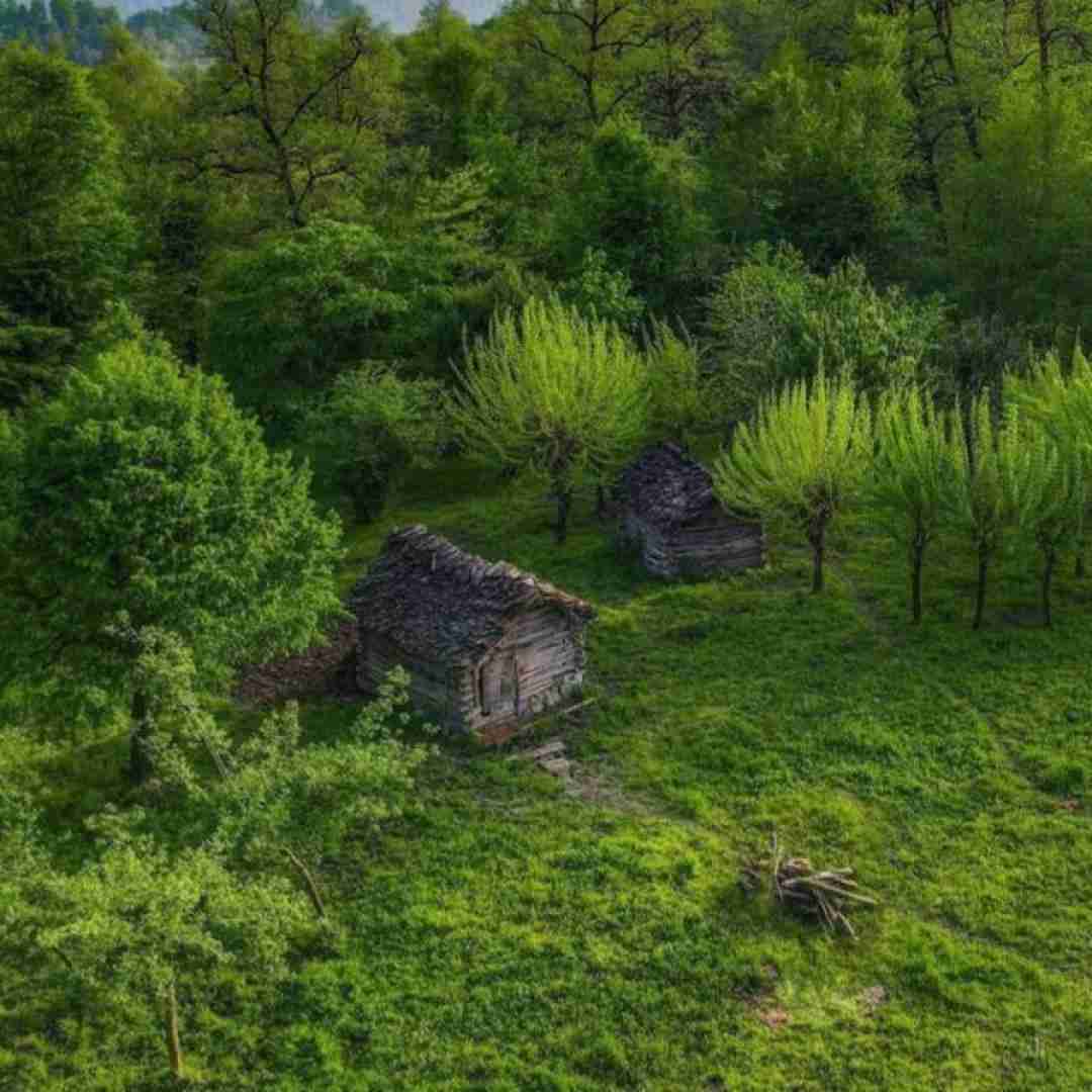  مکش منو برد تو سرگذشت زور