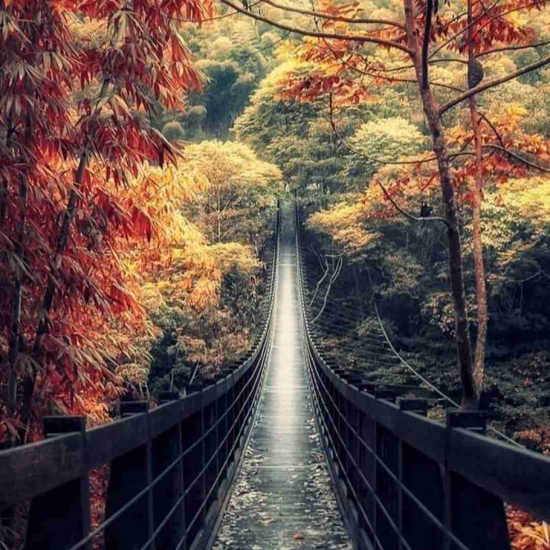  شاید زیادی مغرورم ولی همینه که هست