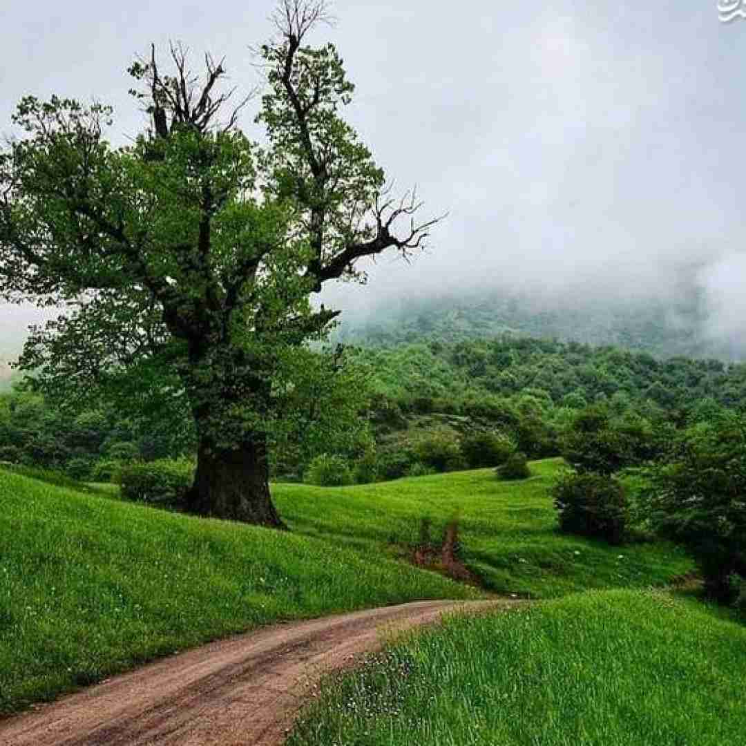  تق و تق در زدم دست پر اومدم معروف اینستا