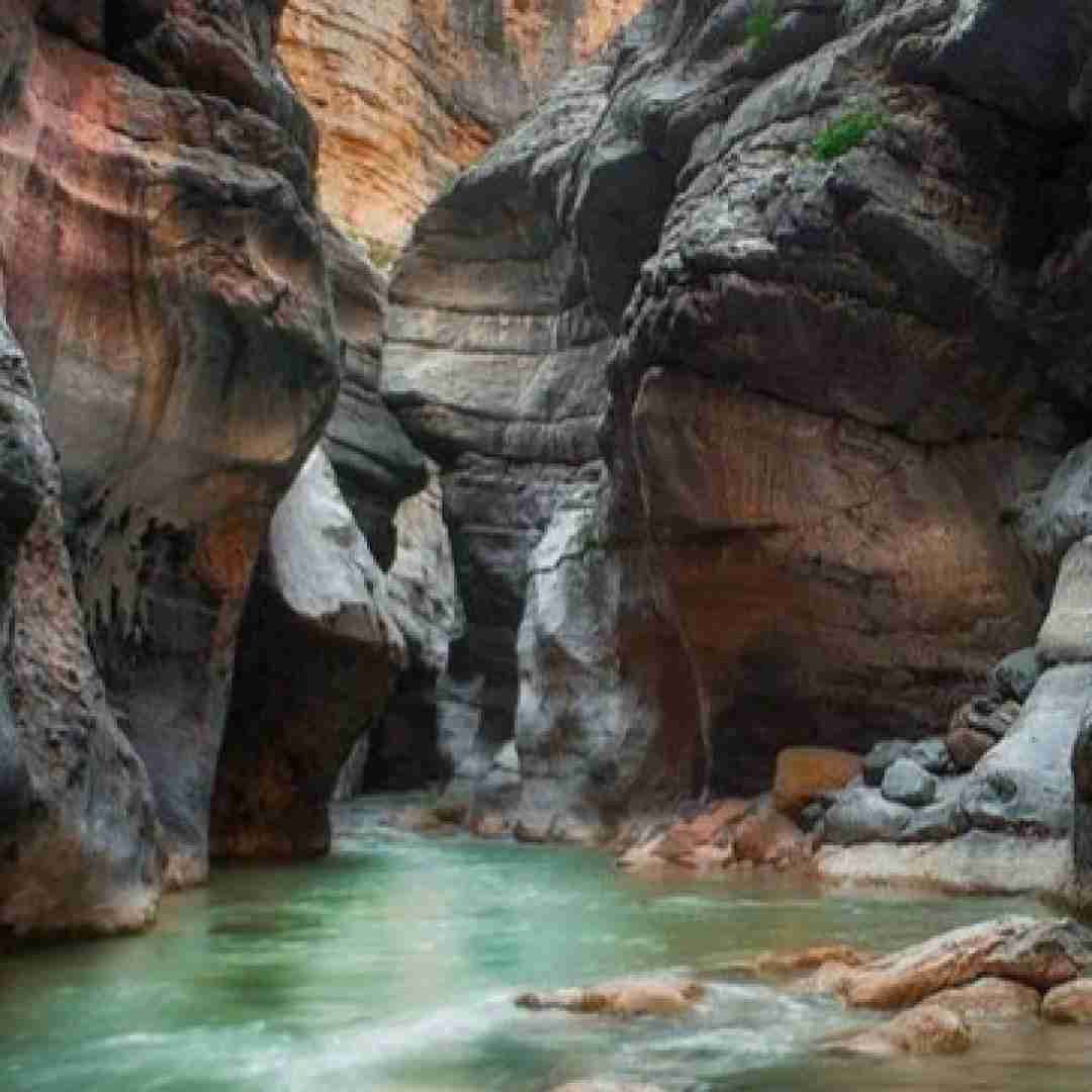  هر کس و روز ازل بی وفایی کرد غرق تو تباهی