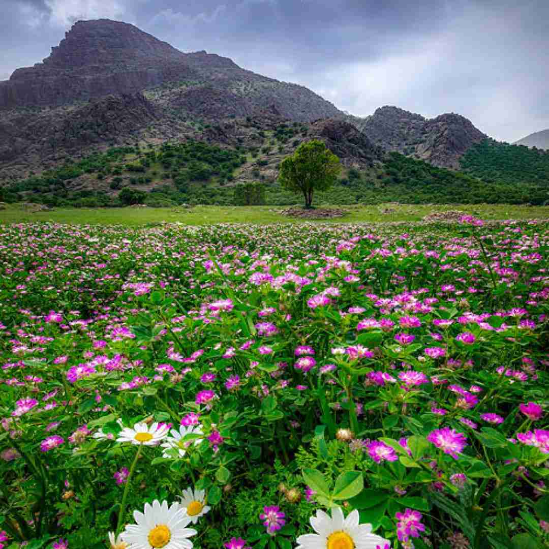  از توی پنجره بازم میبینم کوچه رو خیسه