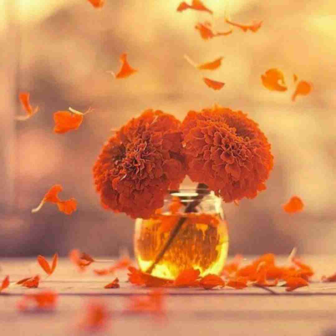  لازمم صداتو لازممی نیستی یه تیکم نیست تیکه آخر پازلمی
