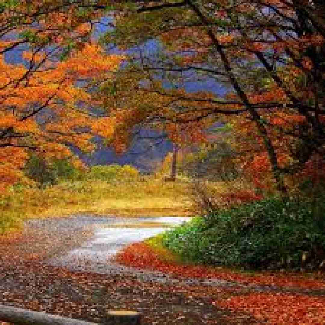  بارونه حالم خوبه ریه داغونه