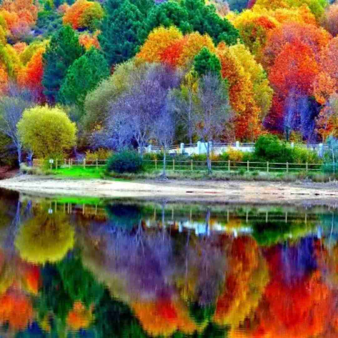 فاطمه عطایی قلندر غریبم