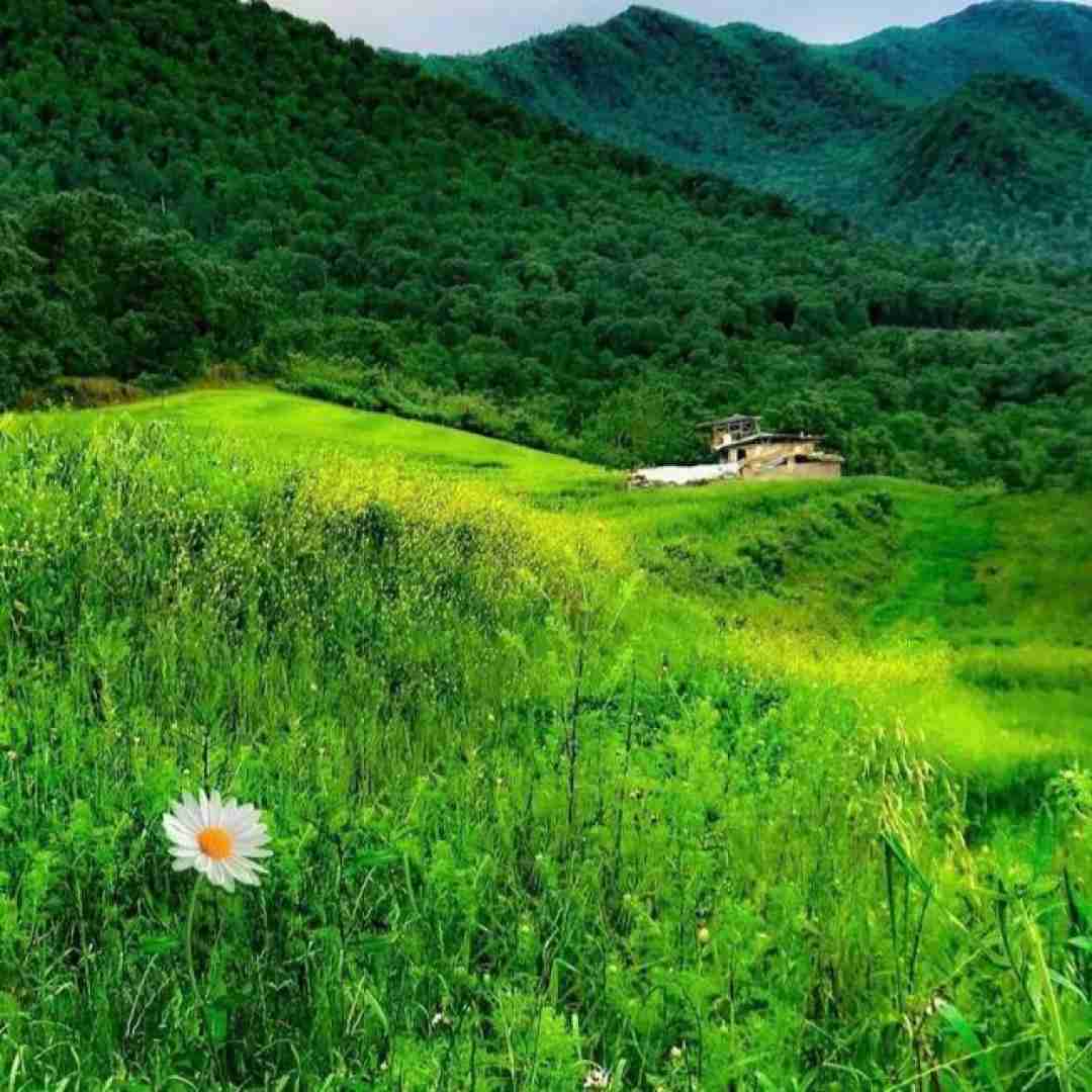  دورم داداشام همه بلادی آشنات میکنم با بتادین