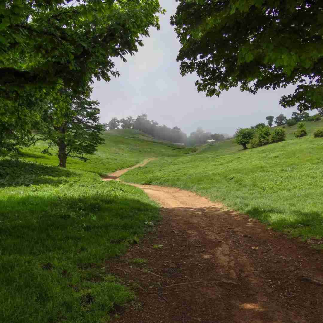  میترسم بمیرم و دیگر تو را نبینم با صدای جواد خیابانی