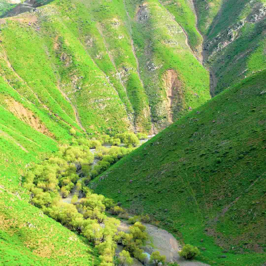  تو سفید کنی من سیاه کنم