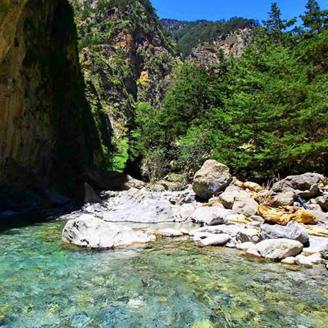 کردی دلکم با‌وانم باوانی باوانم بالا بالاته بالا به‌ر