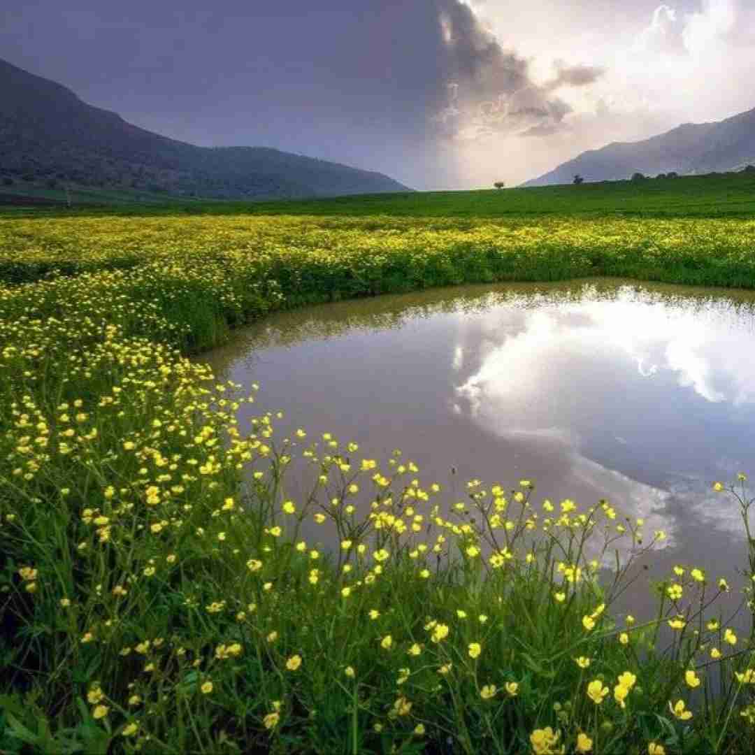  برو قول دمه این آخرین باره ولی تو بد میکردی حالمو