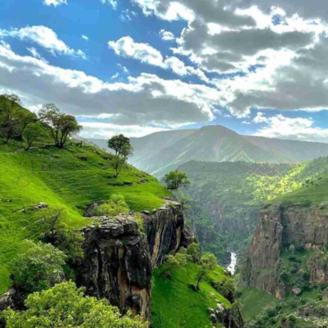 سنا برزنجه با که‌س نه‌زانی بیکه‌س و کارم