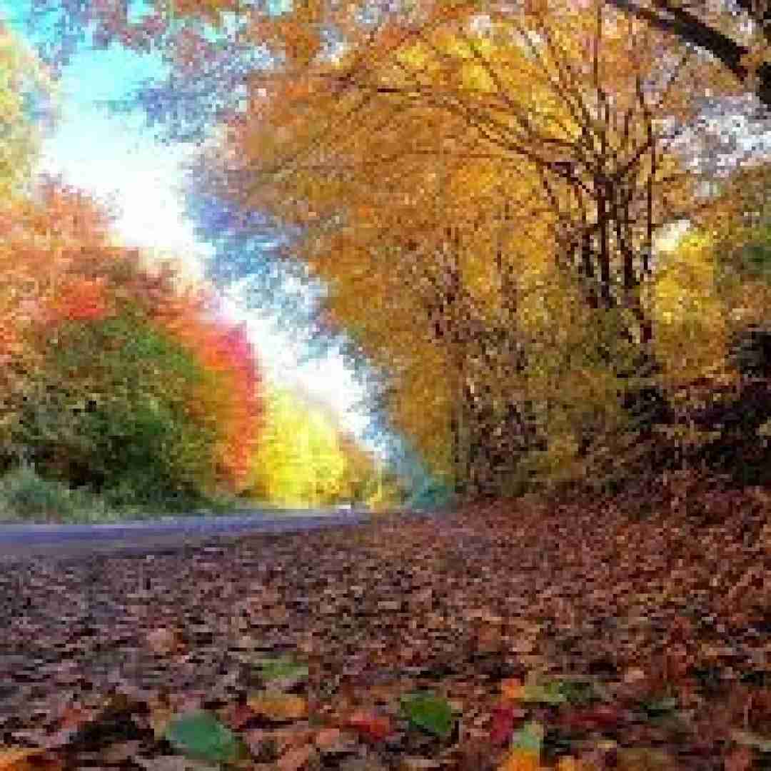  با هم بریم تو غروب راه یچیزی میگم بهت