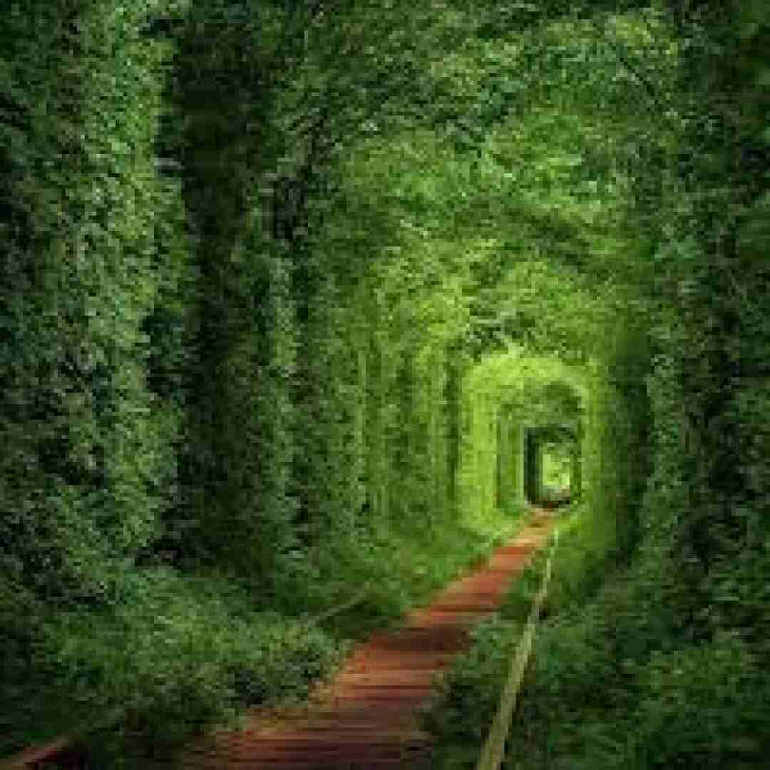  ای دختر زیبا بیا بریم دریا