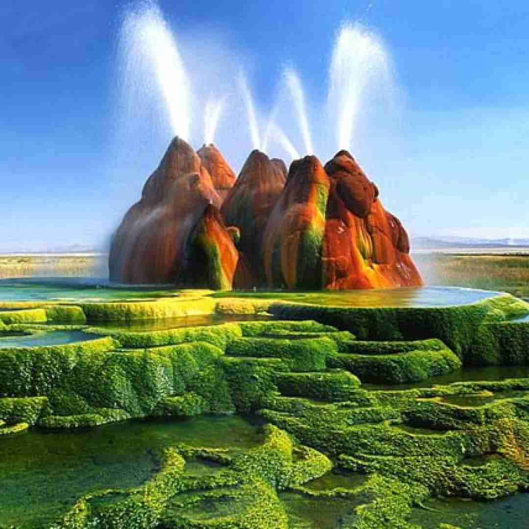 سنا برزنجه قربانی