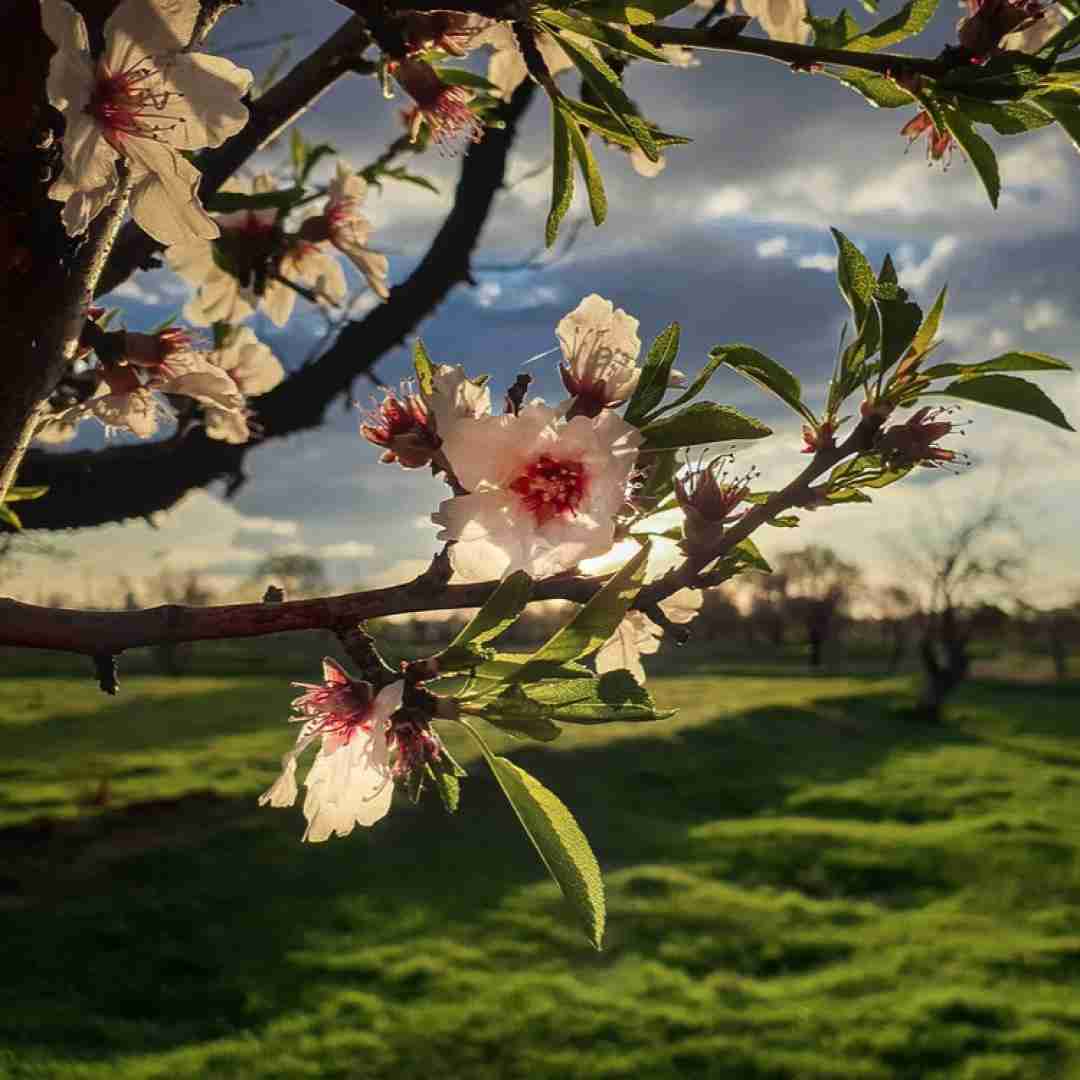 خوشگل ابرو کمون سوگولی قلبم بمون هوش مصنوعی با صدای زن