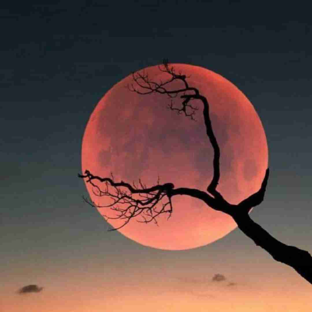 میدونم آخ که دیگه فرنگیس عشق تو داغونم کرد هوش مصنوعی