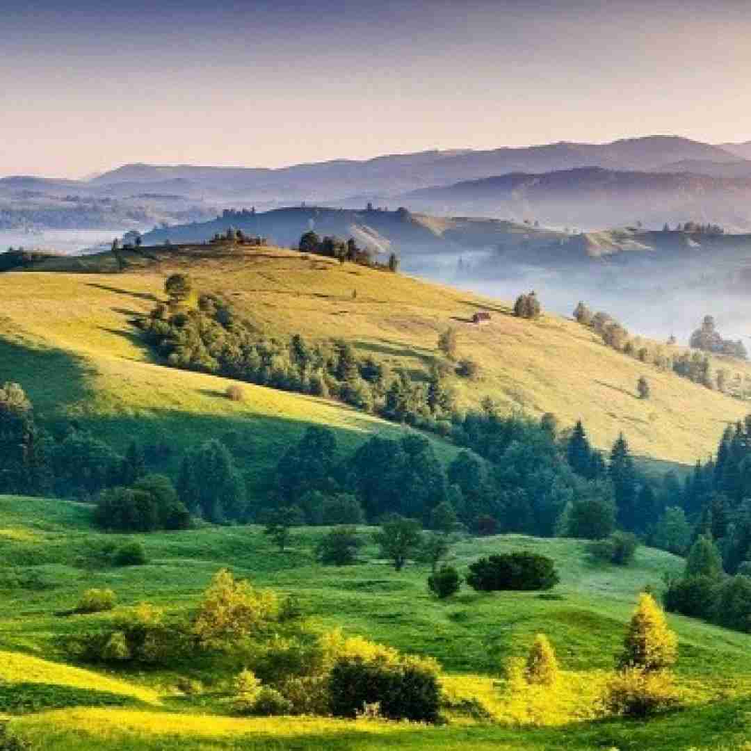  بیا برگردیم به هم من حاضرم تو با قلبت بیا هوش مصنوعی با صدای زن
