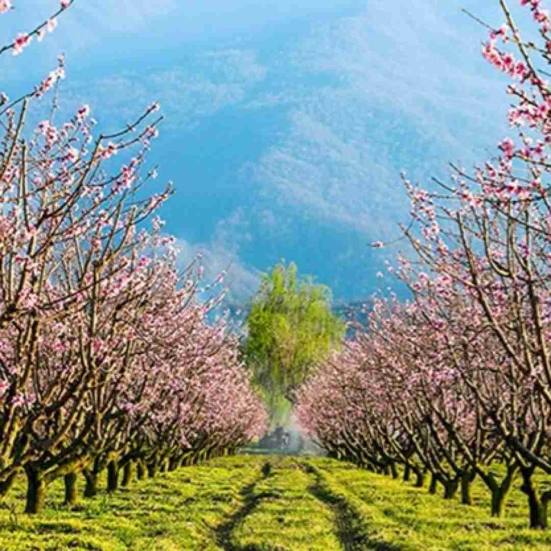  به یارم بگید خوب من محبوب من آخه با تو من چه کردم