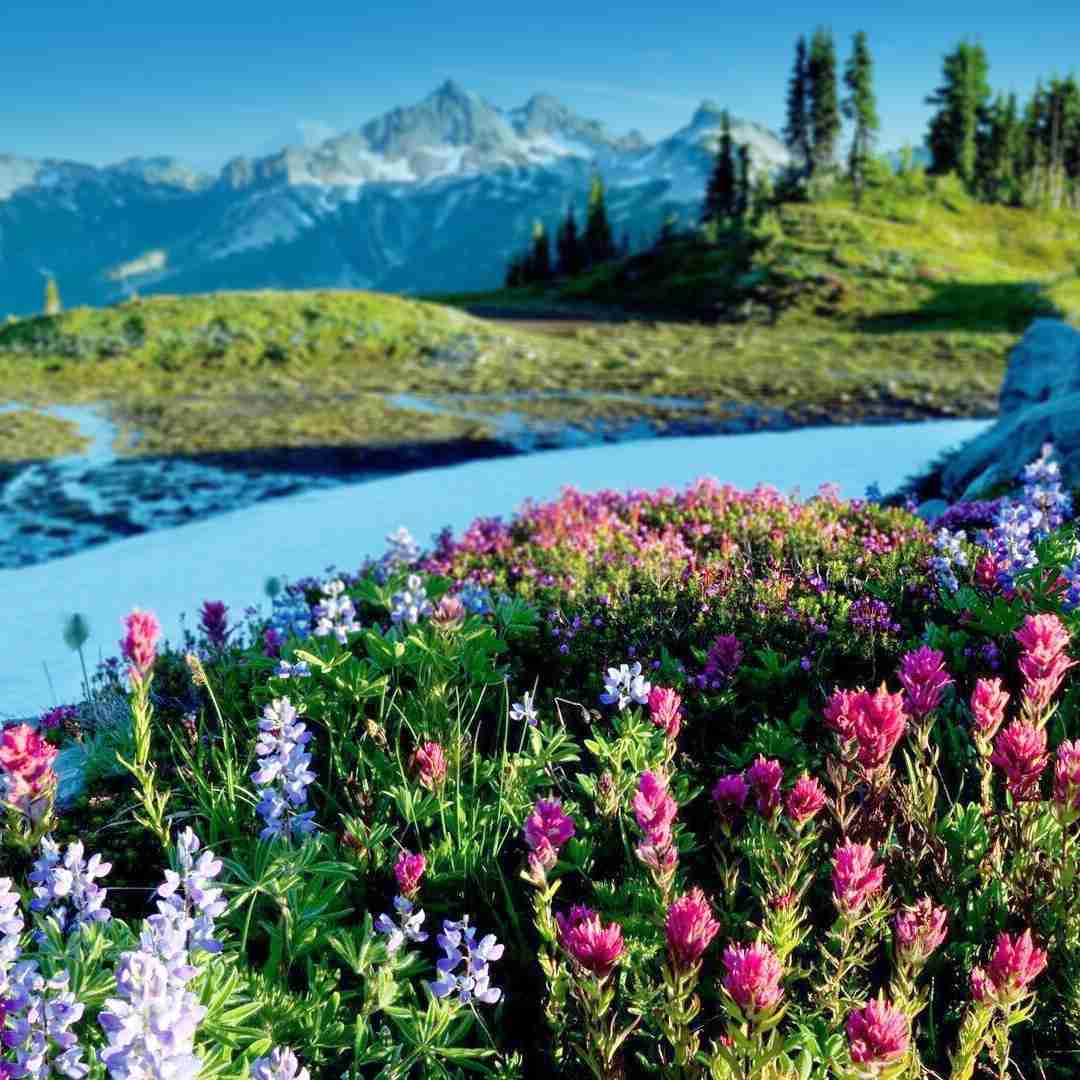  ترکی یوکسون بو کالبی یاکسام با صدای زن و مرد