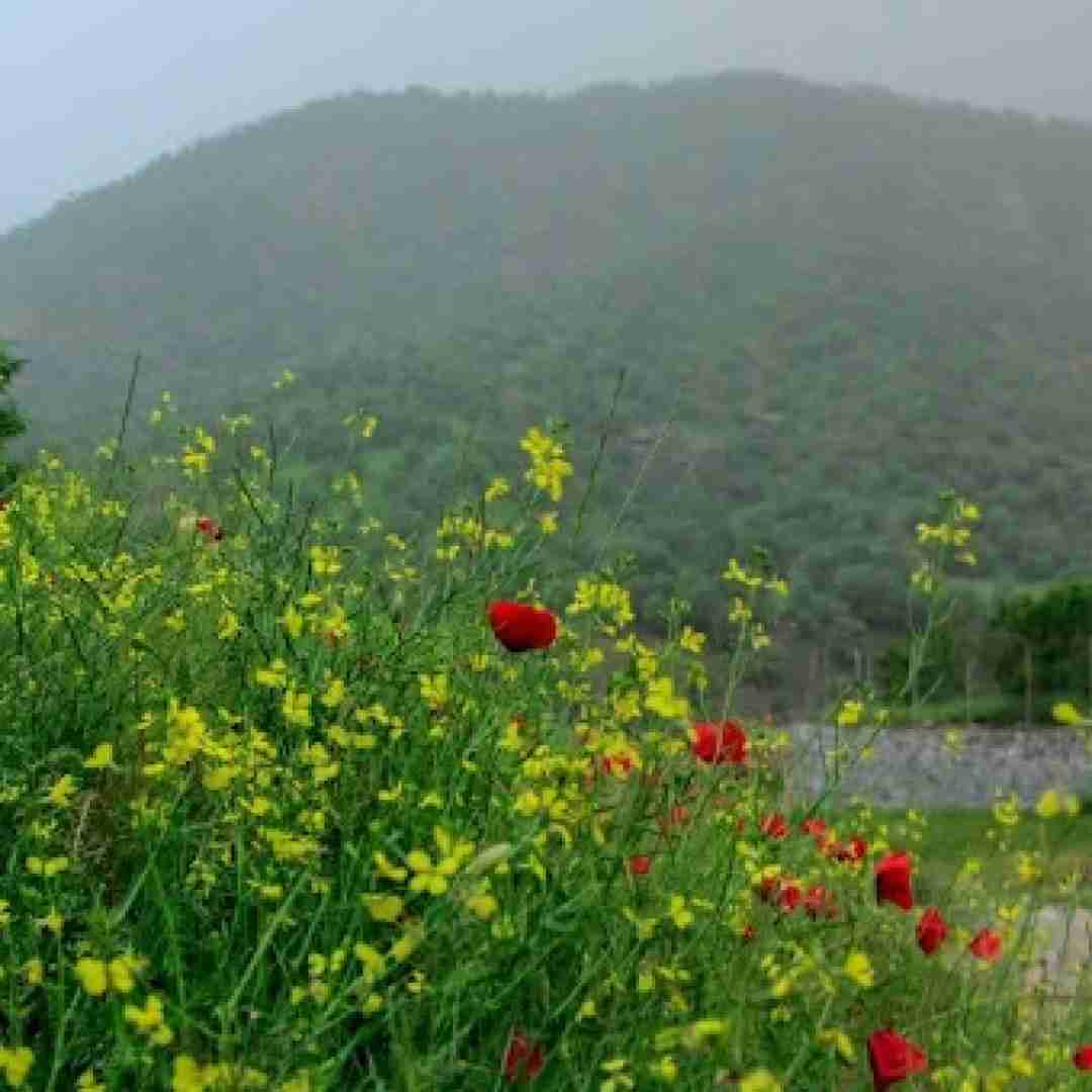  به ولله دلم تنگه یه فکری بکن به حال دلم میکس ترکیبی