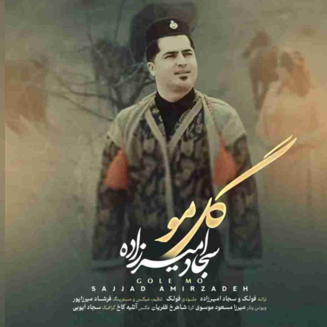 سجاد امیرزاده گل مو