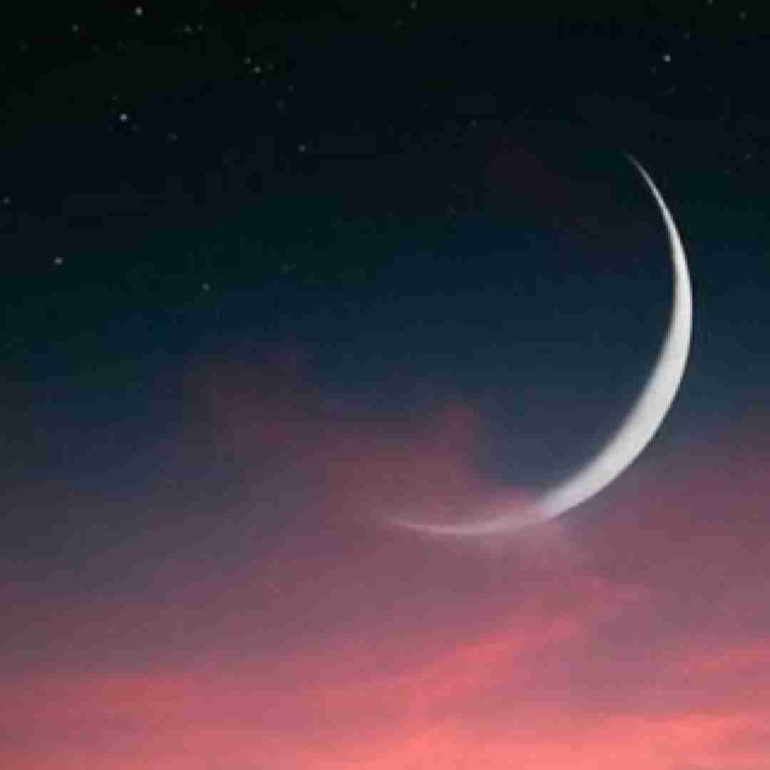  تنها رقیبم اون لعنتیه توی آینه یکی بیاد مغزمو بکنه معاینه