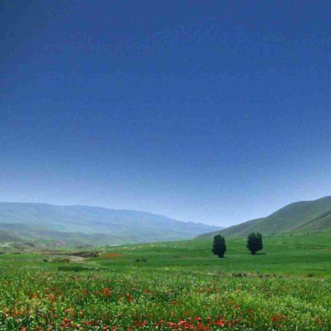  دختر همسایه راه برو تو سایه عروس ننم میشی ترند اینستا