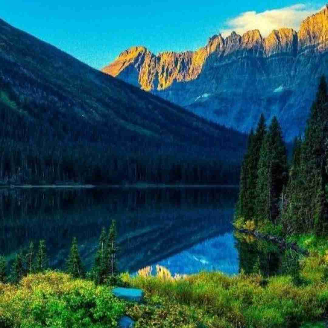  جنوبی میبندم چفیمو قرمز