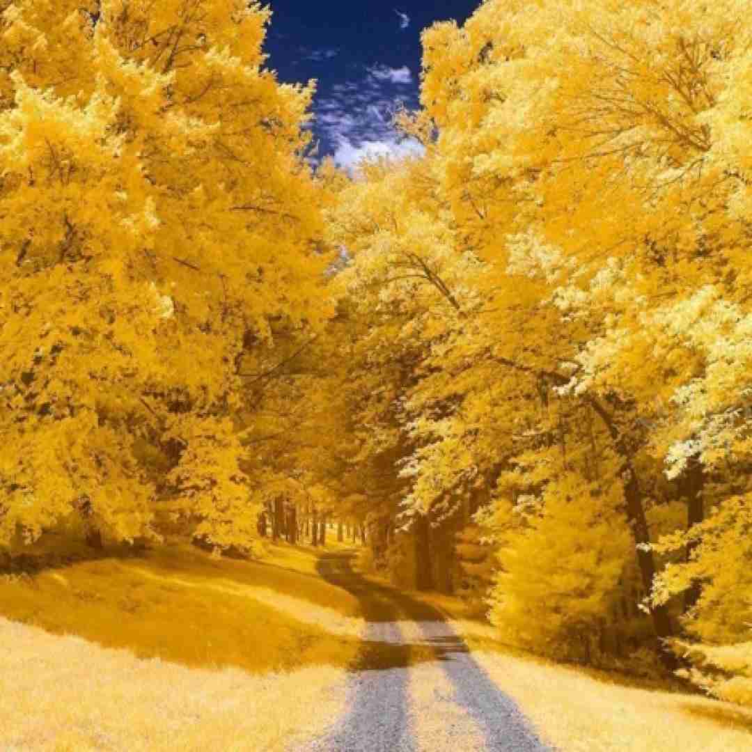  من میمونم پات قلب من جاش میدونم باهات امنه با صدای زن