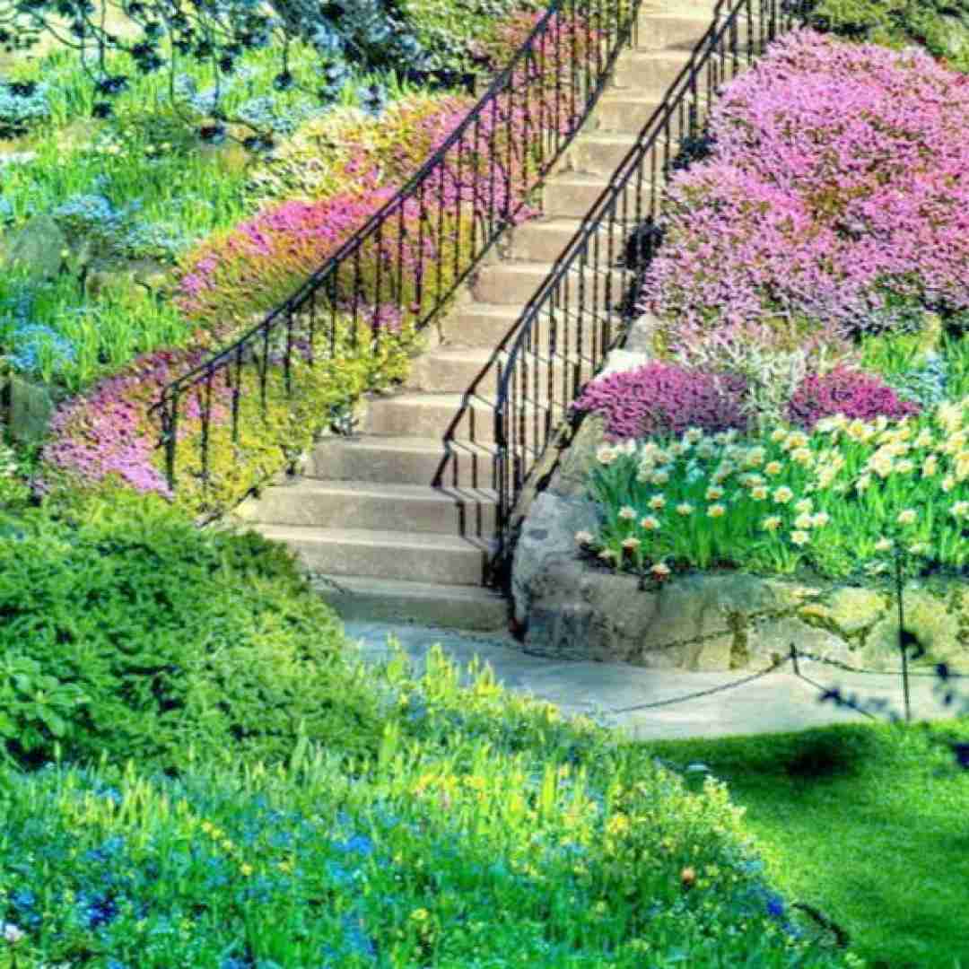  نه حال خوبی دارم نه صبری مونده واسم با صدای بچه
