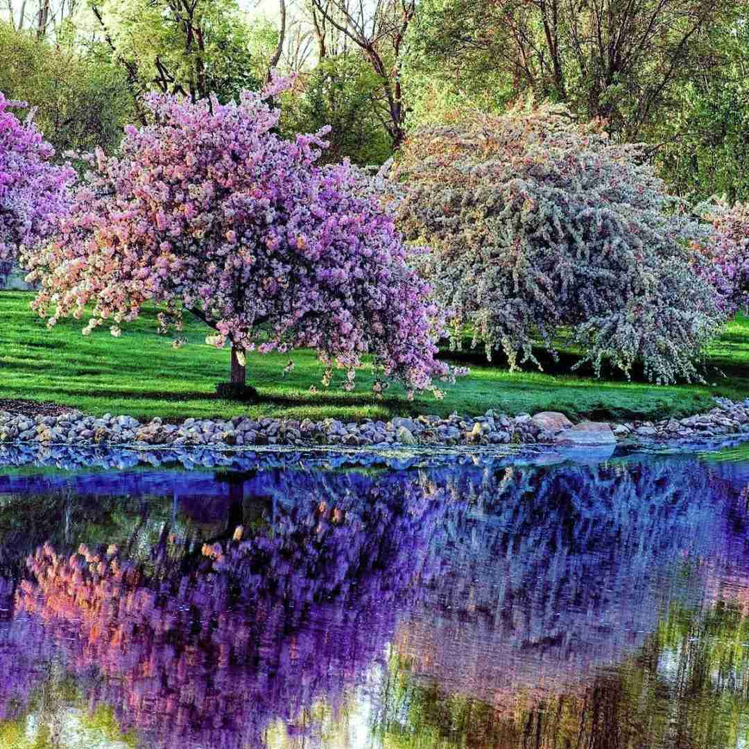 فاطمه عطایی دلخواه