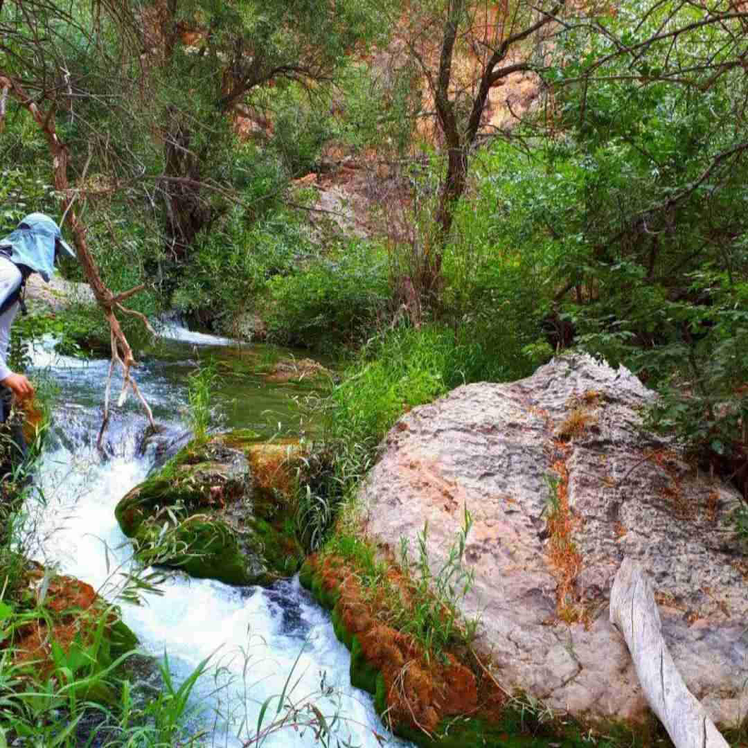فاطمه عطایی یار طالع نیه