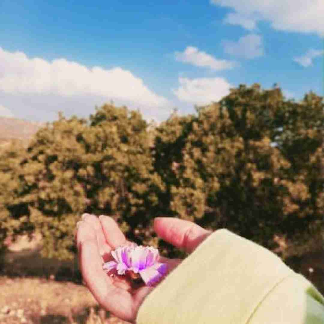  تموم راهرو های خونه رو شمع که بچینی من باهات قهرم بد راه نده به دلت میکس ترکیبی