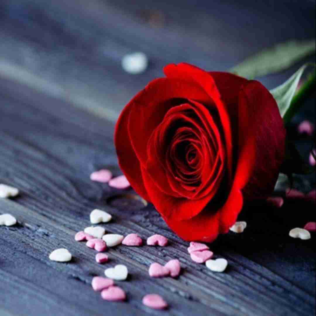  دمش گرم هرکی مونده پای عشقش هوش مصنوعی با صدای زن