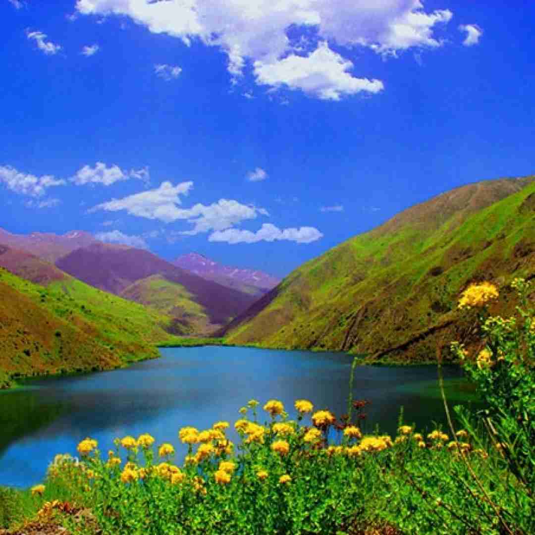 فاطمه عطایی یادش بخیر