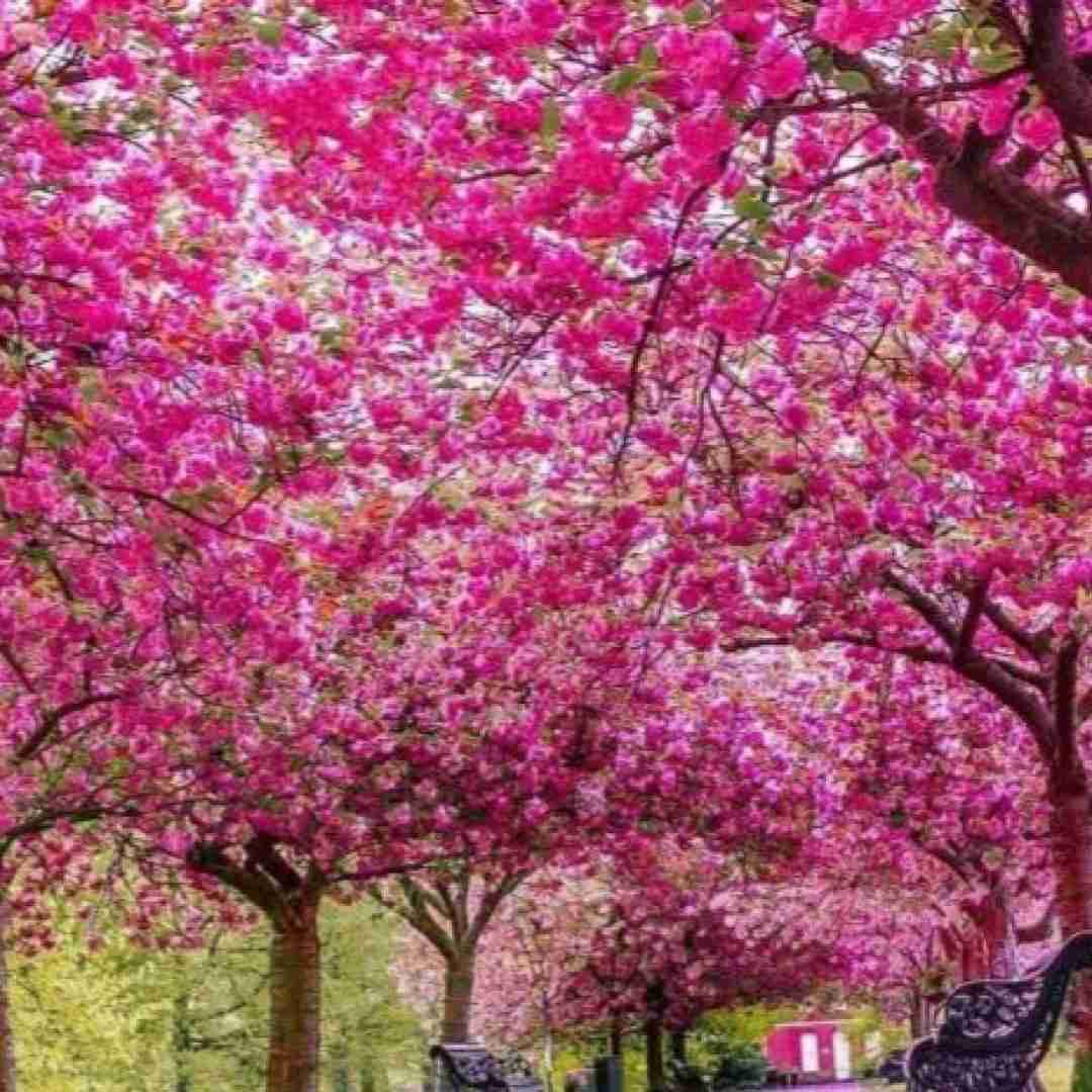  تو باربی بندری آره آره والا