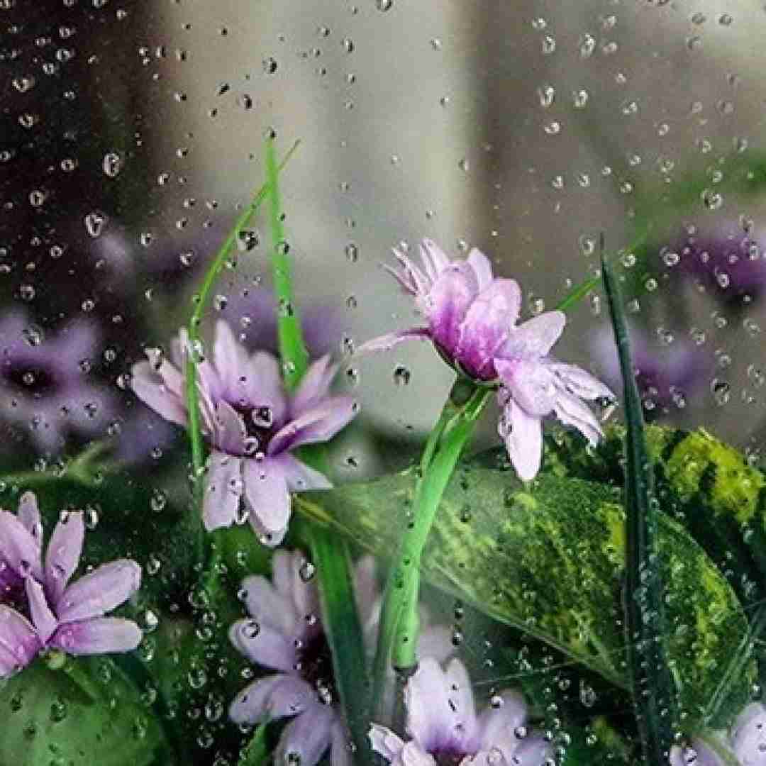  یار عزیزم با من دعوا کرده نازتو میخرم گرون میکس ترکیبی ترند اینستا