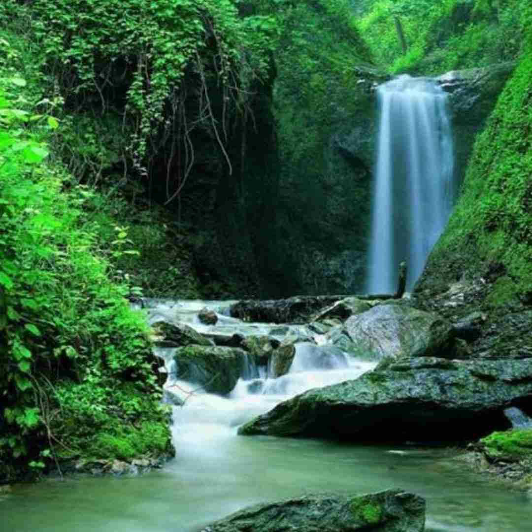 فاطمه عطایی آق ننه