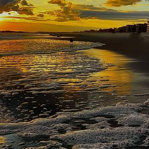  یکی دیگه مونو چیدن از این آدما بریدم