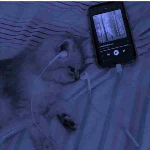  روزا میگذره با خاطراتت باختم منه ساده