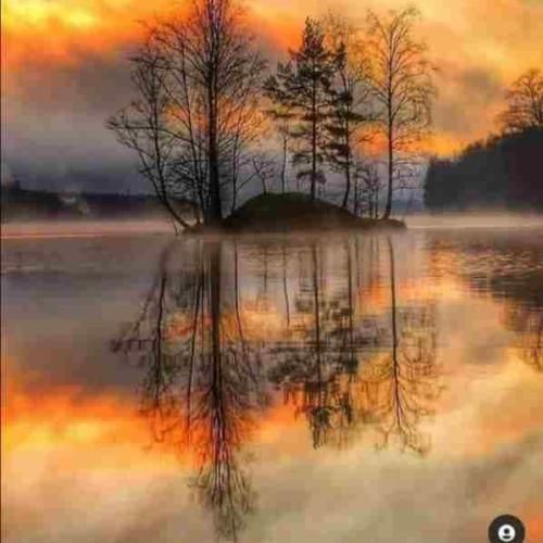  عید غدیر علی علی مولا